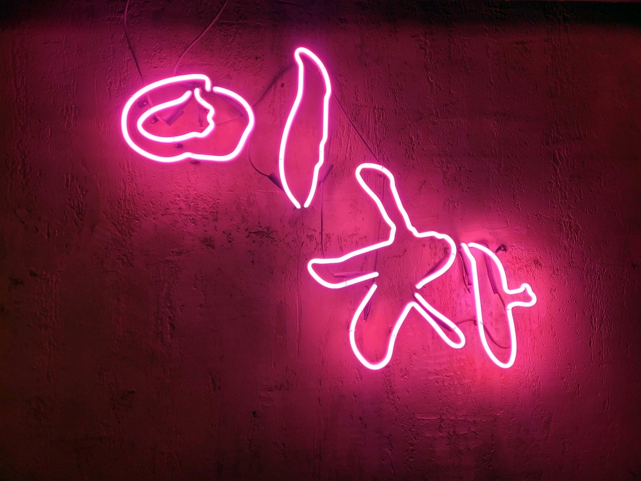 '바른원웨이'의 브랜딩 example 6